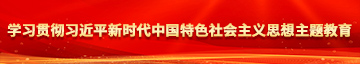 调教贱逼视频学习贯彻习近平新时代中国特色社会主义思想主题教育